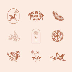 Natural branding vector design element vintage illustrations set