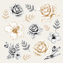 Gold and white flower sticker with a white border vector set