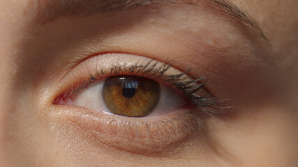 Caucasian girl attractive brown eye with mascara. Look to the camera. Studio shot with dramatic light extreme close-up high quality photo image.