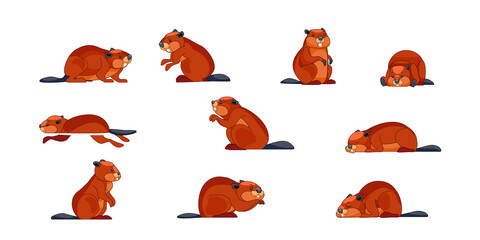 Beaver wild animal set vector illustration. Funny character in various poses cartoon design. Groundhog day concept. Isolated on white background - obrazy, fototapety, plakaty