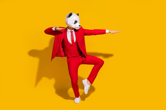 Photo of panda guy dance motion look empty space wear mask red tux tie shoes isolated on yellow color background