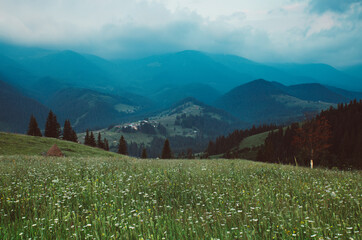 Fototapeta premium Carpathian mountain landscape