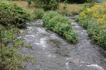 wild river in summer