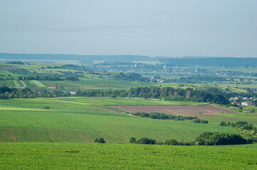 Fototapeta na wymiar Beautiful summer landscape, fields in the countryside