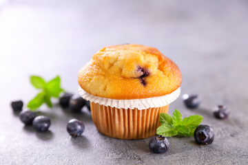 single blueberry muffing,  blueberry cake