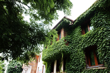 House with greenery in the old town of Nesebar, Bulgaria.