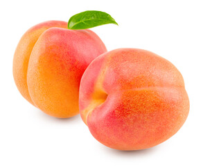 apricot fruit with green leaf isolated on white background. clipping path