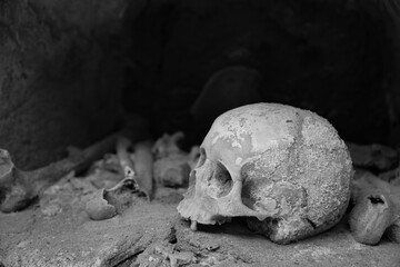 skull in a crypt