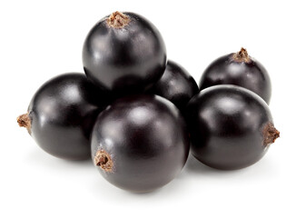 black currant isolated on white background. macro. clipping path