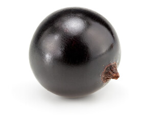 black currant isolated on white background. macro. clipping path