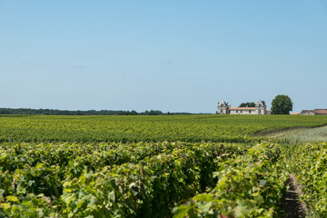 Fototapeta na wymiar MEDOC (Gironde, France), paysage de vignes à Saint-Estèphe