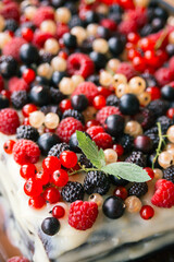 bakery cream cake with fresh white, red and black forest and garden raspberries, currants, blackberries, berries and sprig of mint, view from angle above, closeup vertical stock photo image