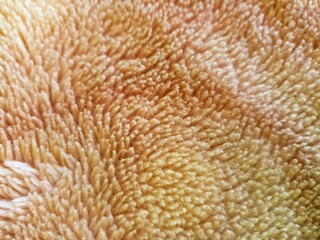 close up of a carpet