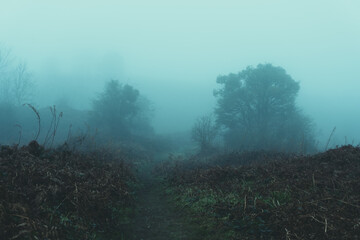 A path through moorland on a moody, dark, foggy, winters day