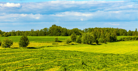 Panoramic summer view of meadows and wooded plains at Jezioro Selmet Wielki lake in Sedki village in Masuria region of Poland - obrazy, fototapety, plakaty