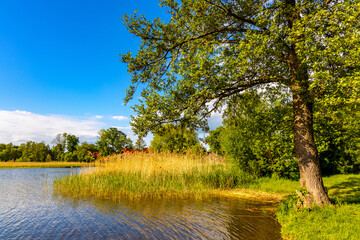 Panoramic summer view of Jezioro Selmet Wielki lake landscape with reeds and wooded shoreline in...