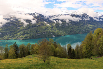 Fototapeta na wymiar Schweizer Alpenidylle; Blick von Norden (Brienz) über den Brienzersee