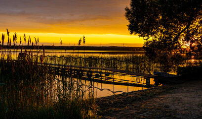 Panoramic summer sunset view of Jezioro Selmet Wielki lake landscape with reeds and wooded shoreline in Sedki village in Masuria region of Poland © Art Media Factory