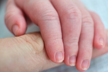 Finger on the hand of an adult and fingers on the hand of a newborn baby, macro photo