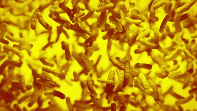 Stabbakterien unter dem Mikroskop: Cholera, MRSA oder Legionellen Bakterien