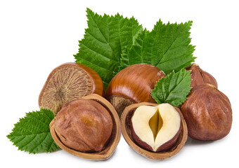 hazelnuts with green leaf isolated on white background macro. clipping path