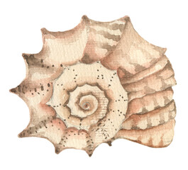 Watercolor shell element