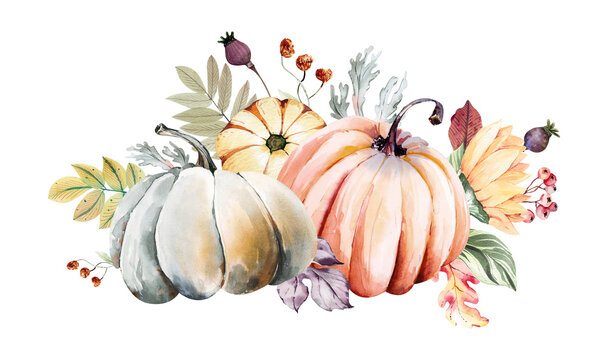 Watercolor fall pumpkin harvest clipart. Thanksgiving pumpkin illustration, Harvest festival invitation, farmhouse clipart, gardening tools and plants, hello autumn logo