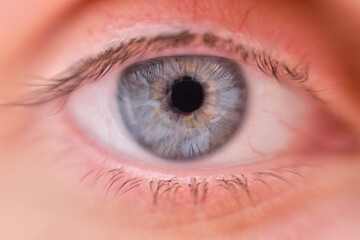 Gray eye of an adult woman, close-up. Macro photo of an open eye with a blue iris and a black pupil