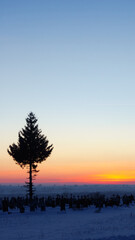 Fototapeta premium sunset in the winter