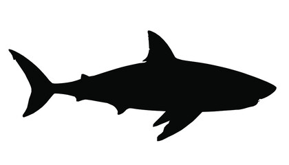 Shark silhouette on a white background. Side view. Vector illustration