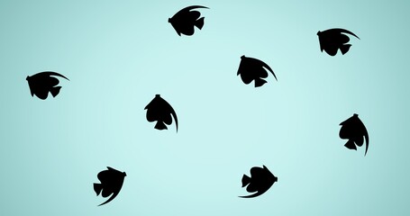 Composition of multiple black fish on blue background