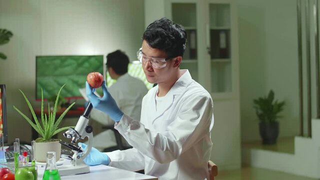 Biochemist Researcher Injecting Healthy Apple With Dna Liquid Using Medical Syringe Checking Genetic Test . Scientist Biologist Examining Fruits In Microbiology Farming Laboratory
