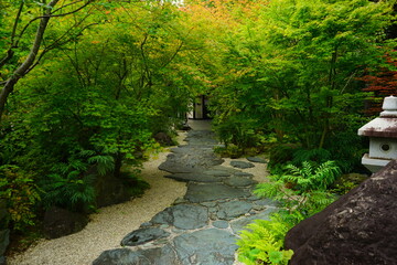 Bansuisou Japanese Garden in Ehime, Japan 日本 愛媛県 松山市 萬翠荘 日本庭園