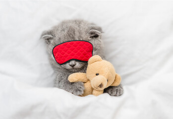 Cozy scottish kitten higs toy bear and sleeps in sleeping mask under blanket on a bed at home. Top...