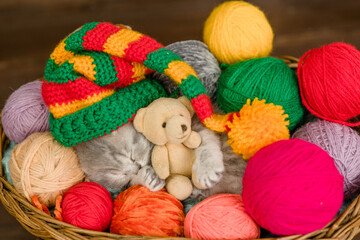 Tiny kitten wearing warm hat hugs favorite toy bear and sleeps inside a basket with clews of thread
