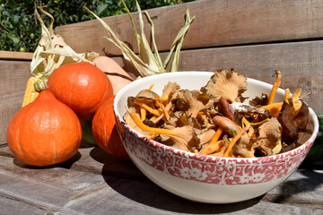 Kürbisse mit Pilzen, Kraterelle, Edelreizker vor Holzwand als herbstliches Motiv, aus dem Garten...