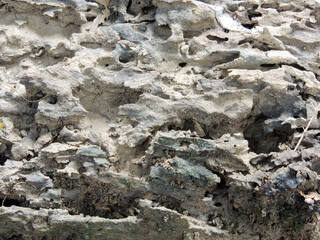 stone rock surface texture in the mountains
