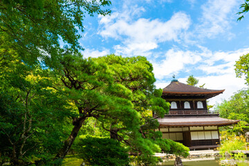 Fototapeta na wymiar Ginkakuji Temple in Kyoto Japan