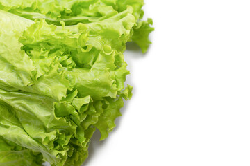 Fresh lettuce salad isolated on a white background.