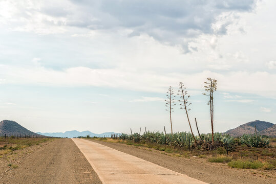 The single lane conrete road between Willowmore and Steytlerville