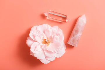 Rose quartz, rosehip flower, crystal of transparent pointed glass are placed on a delicate background. Top view