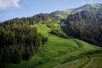 Fototapeta na wymiar Beautiful summer mountains landscape. Green Alps view.