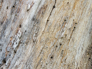 old rough wood plank surface texture background