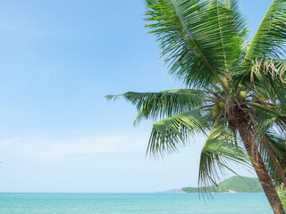Blue ocean beach with coconut tree and valley background landscape,Travel holiday concept beaituful view seascape clean weather on blue sky