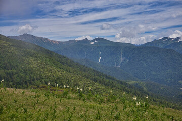 Obraz premium Mt.Yakushidake, early summer 初夏の薬師岳登山