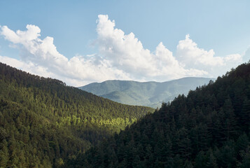 Beautiful view of the forest and mountains with sunlight illuminating the trees and the sky. Travel and active lifestyle concept
