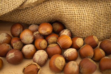 Fresh unshelled hazelnuts beside the jute sack