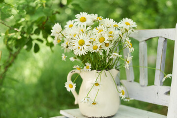 A bouquet of daisies in a jug on an old vintage chair in the garden. Cozy vintage bouquet in a green garden.