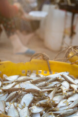 Vietnamese fishermen at the boat landing