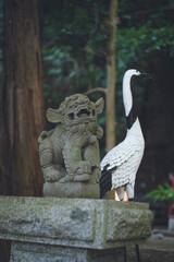 光の道で有名な福岡県福津市の宮地嶽神社（みやじだけじんじゃ）の狛犬